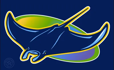 Tampa Bay Rays